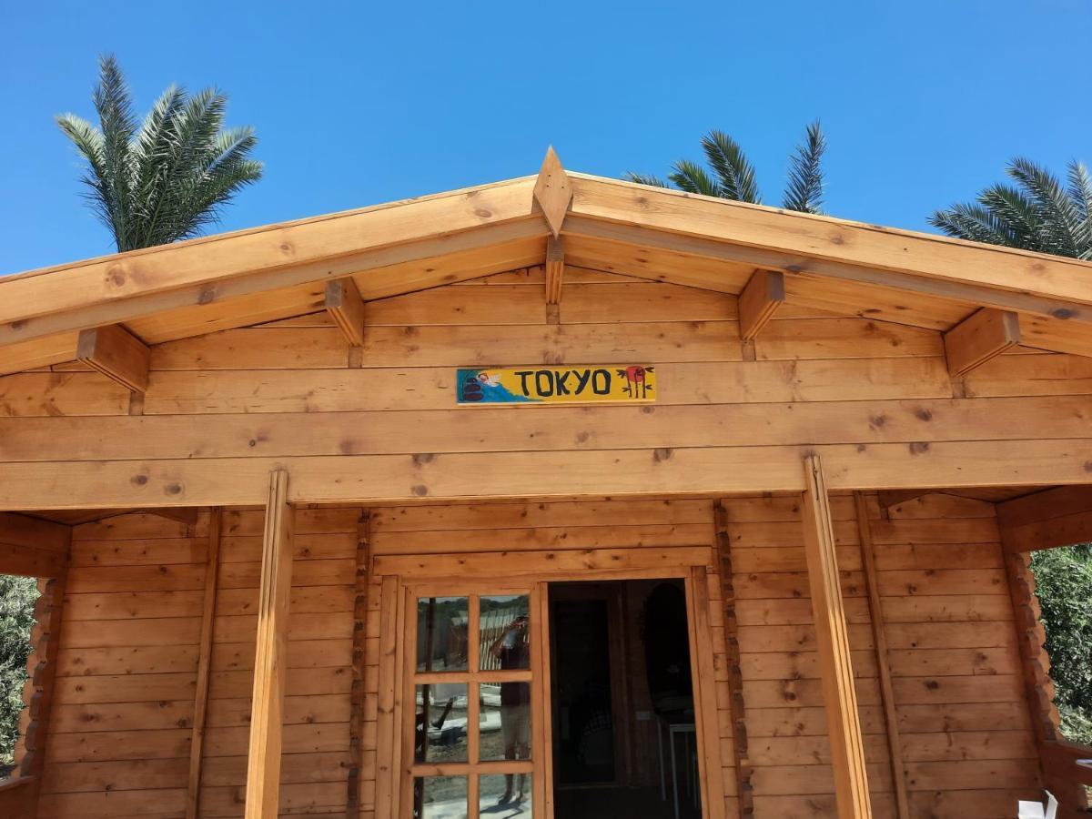 Cyprus Glamping Park Hotel Agios Theodoros Exterior foto