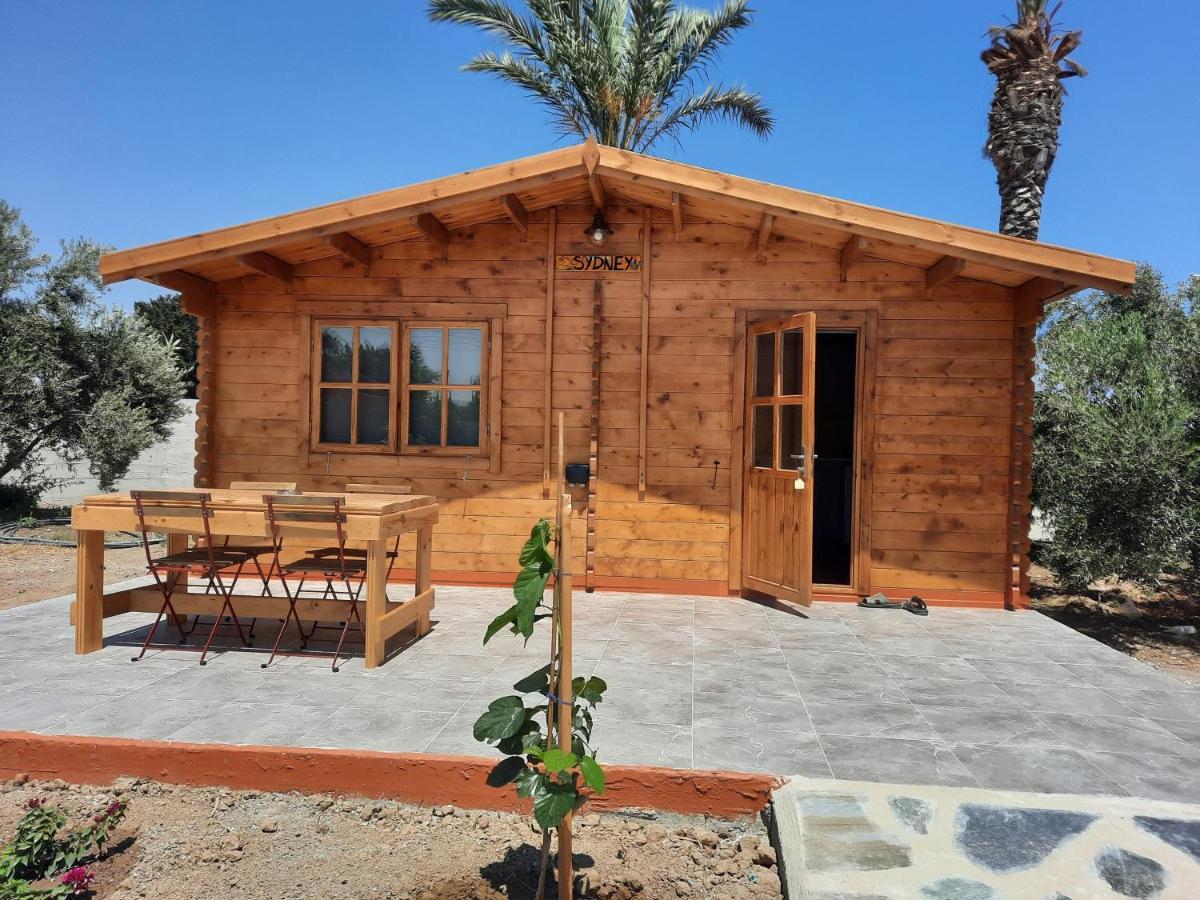 Cyprus Glamping Park Hotel Agios Theodoros Exterior foto